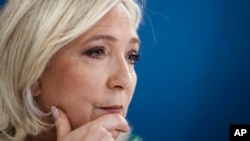 Fransa Ulusal Bütünleşme (RN) Partisi lideri Marine Le Pen