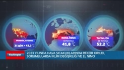 2023'te hava sıcaklılarında rekor kırıldı; sorumlu iklim değişikliği