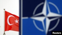 NATO, 30 Ağustos Zafer bayramı dolayısıyla geçen yıl olduğu gibi bu yıl da bir mesaj paylaştı